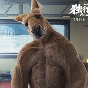 独行月球