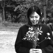 小说家的电影 소설가의 영화