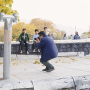 无熊之境 خرس نیست