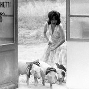 点击查看图片 罗马妈妈 Mamma Roma