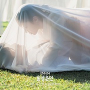 烈女朴氏契约结婚传 열녀박씨 계약결혼뎐