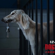 狗神 DogMan