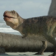 点击查看图片 史前星球 第二季 Prehistoric Planet Season 2