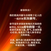 老虎的学徒 The Tiger's Apprentice