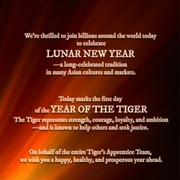 老虎的学徒 The Tiger's Apprentice