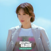 绝佳的解决师 끝내주는 해결사