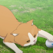 喂！蜻蜓 オーイ! とんぼ