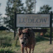 宠物坟场：血源 Pet Sematary: Bloodlines
