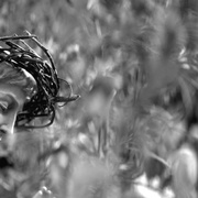 点击查看图片 母亲的双眼 The Eyes of My Mother
