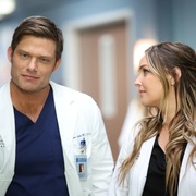 实习医生格蕾 第十九季 Grey’s Anatomy Season 19