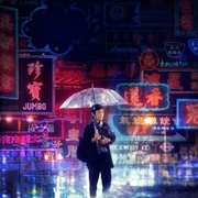 点击查看图片 灯火阑珊 燈火闌珊