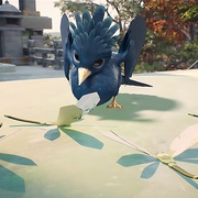 星辰变 第五季