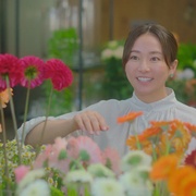 余生一年的我，遇见了的余生半年的你的故事 余命一年の僕が、余命半年の君と出会った話。