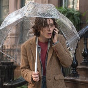 纽约的一个雨天 A Rainy Day in New York
