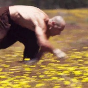 雕形拳 El Puño del Cóndor