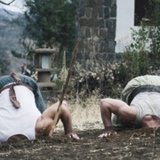雕形拳 El Puño del Cóndor