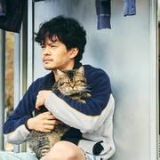 没有季节的城市 季節のない街