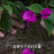 四次旅行