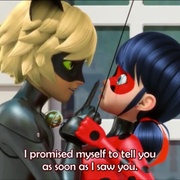 瓢虫少女 第二季 Miraculous: Tales of Ladybug & Cat Noir Season 2