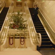 潘多拉的果实～科学犯罪搜查档案～Season2 パンドラの果実～科学犯罪捜査ファイル～Season2