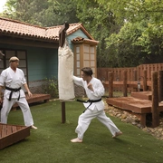 眼镜蛇 第六季 Cobra Kai Season 6