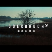 奥德布鲁赫 Oderbruch