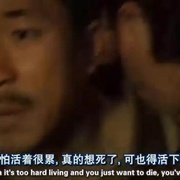绿头苍蝇 똥파리