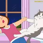 点击查看图片 恶搞之家 第十九季 Family Guy Season 19