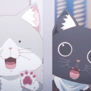 拉面赤猫 ラーメン赤猫