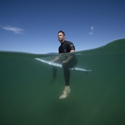克里斯·海姆斯沃斯的鲨滩奇遇 Shark Beach with Chris Hemsworth