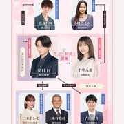 我们假结婚吧 ウソ婚