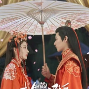 机智的公主殿下
