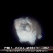 敌对维度 Hostile Dimensions