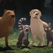 猫猫的奇幻漂流 Straume