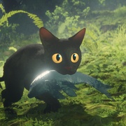 猫猫的奇幻漂流 Straume