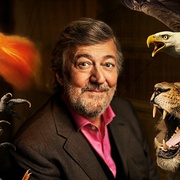 神奇动物：一段自然历史 Fantastic Beasts: A Natural History