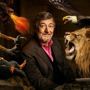 神奇动物：一段自然历史 Fantastic Beasts: A Natural History