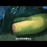 谜案追凶