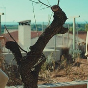 房子 La casa