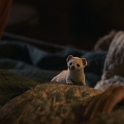 黑暗物质三部曲 第三季 His Dark Materials Season 3