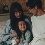 棉尾兔 Cottontail