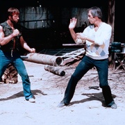 独行侠野狼 Lone Wolf McQuade