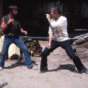 独行侠野狼 Lone Wolf McQuade