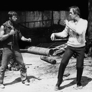 独行侠野狼 Lone Wolf McQuade