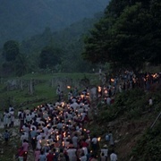 蛇与彩虹 The Serpent and the Rainbow