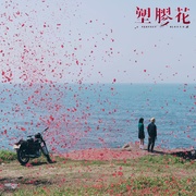 塑胶花 塑膠花