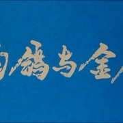 白鸽