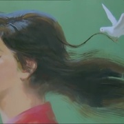白鸽