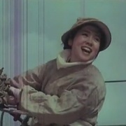 白鸽