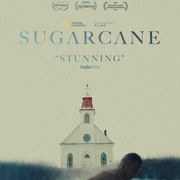 甘蔗 Sugarcane